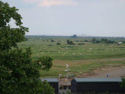 The view from the lookout